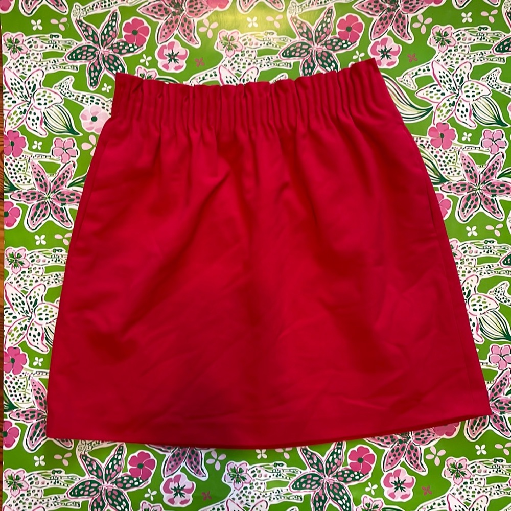 Jcrew Skirt w/pockets!
